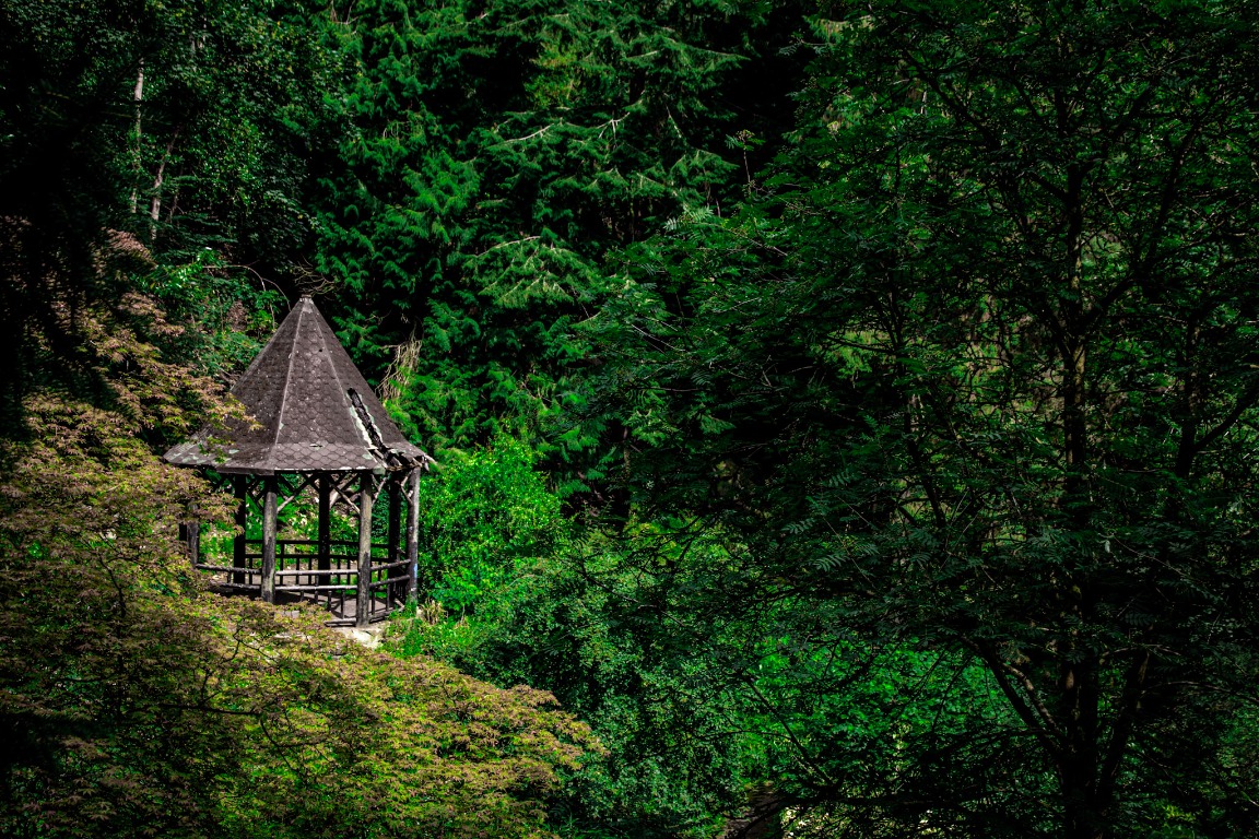 A small wooden shelter nestled among deep green woodland.